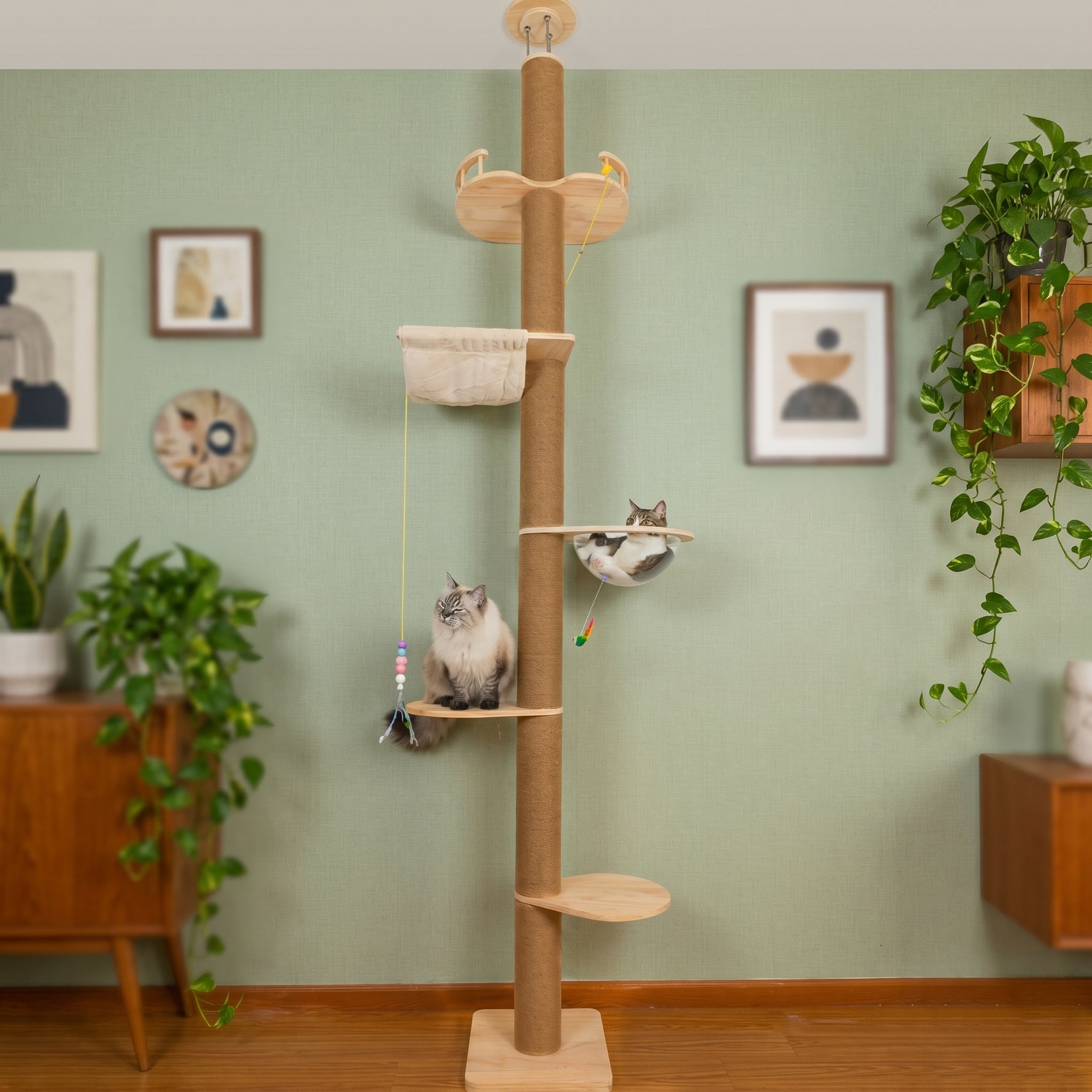 Modern cat tree condo (5-tier)