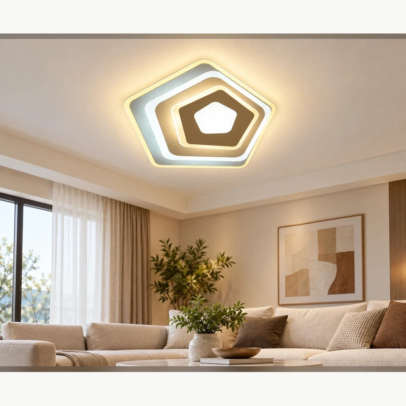 Contemporary Ceiling Light