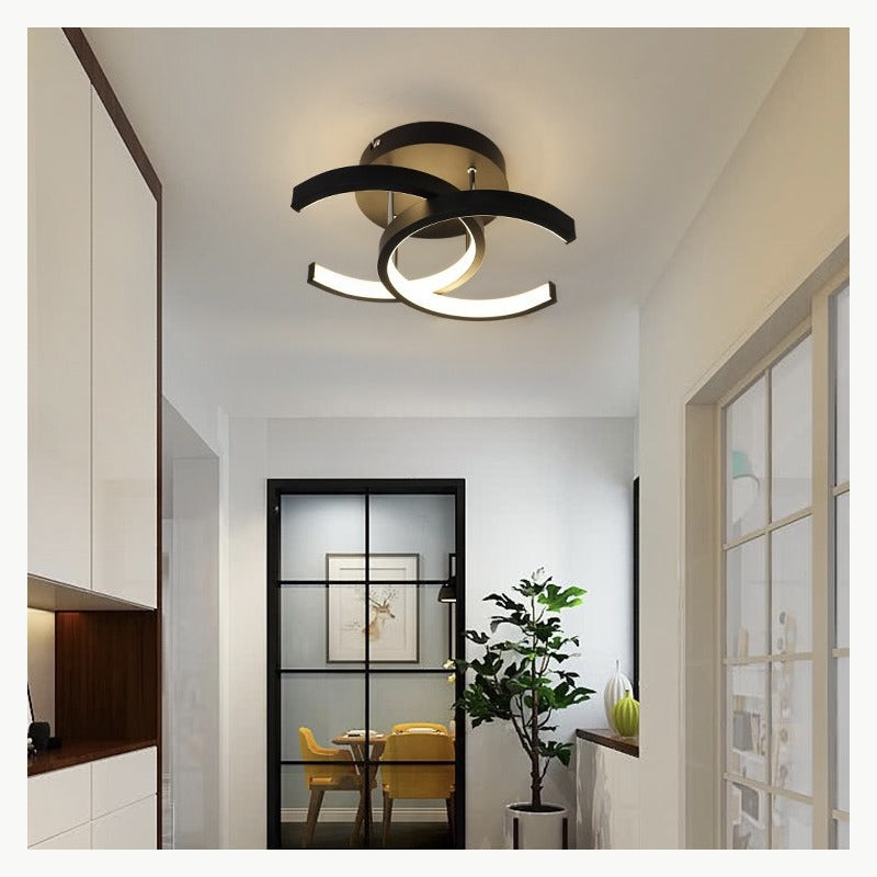 Contemporary Ceiling Light