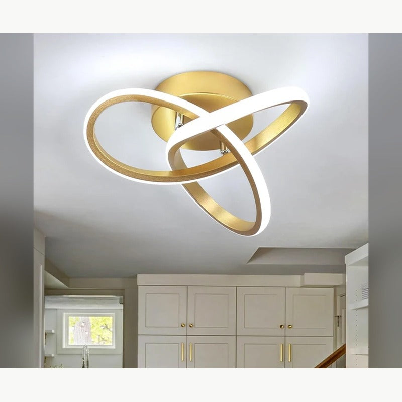Contemporary Ceiling Light