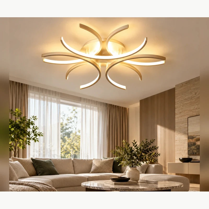 Contemporary Decorative Light