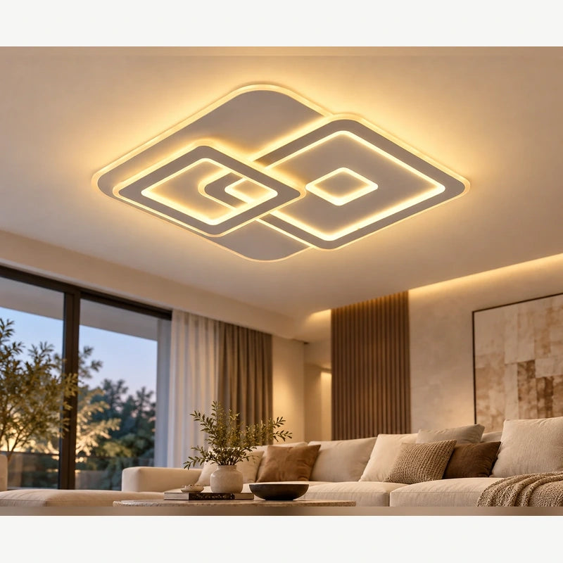 Contemporary Ceiling Light